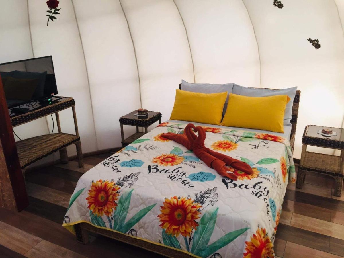 Shenanigans Glamping Resort Zamboanguita (Visayas) Exterior foto