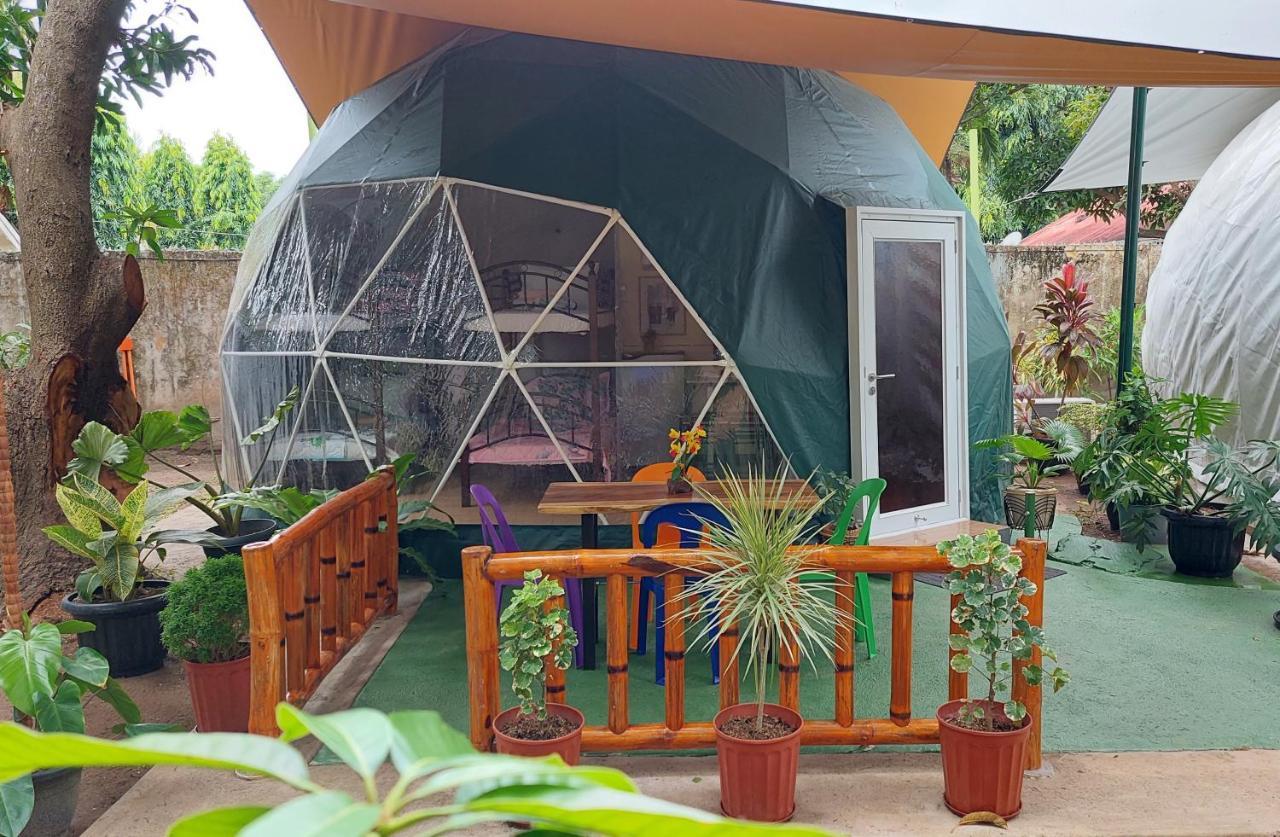 Shenanigans Glamping Resort Zamboanguita (Visayas) Exterior foto
